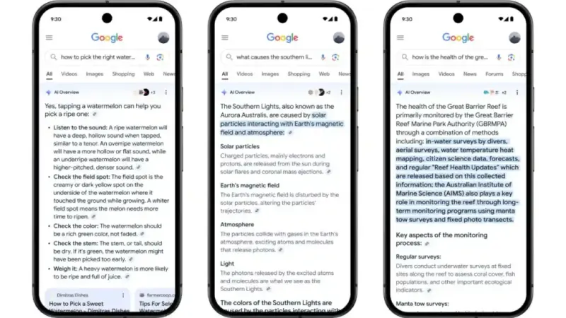 AI overviews